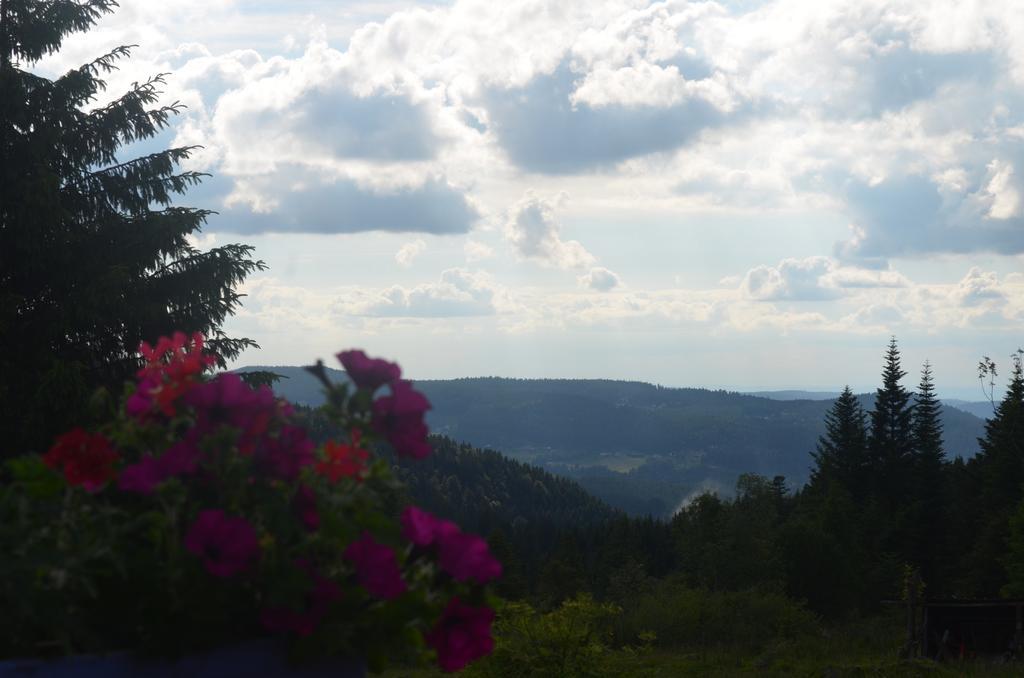 Auberge d'altitude de Grouvelin Gérardmer Buitenkant foto
