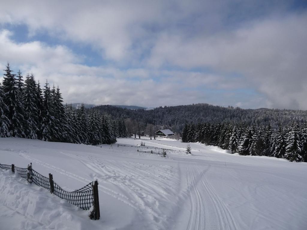 Auberge d'altitude de Grouvelin Gérardmer Buitenkant foto