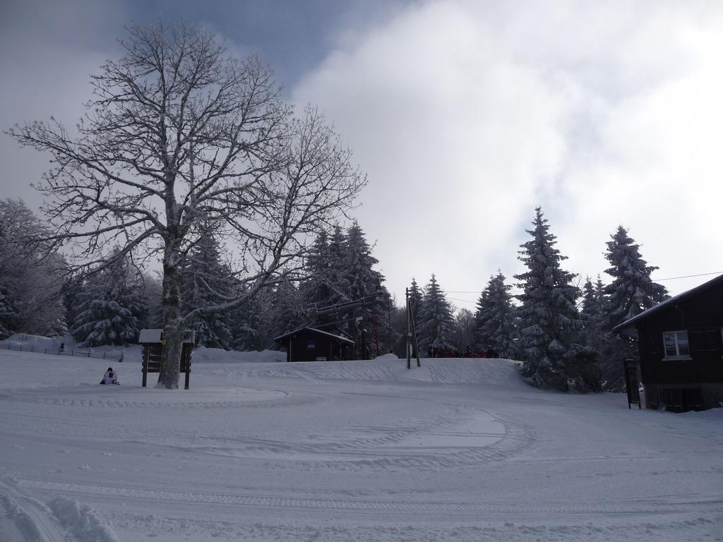 Auberge d'altitude de Grouvelin Gérardmer Buitenkant foto