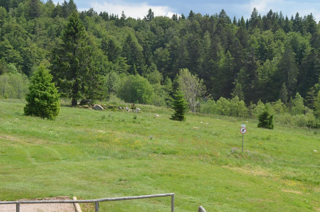 Auberge d'altitude de Grouvelin Gérardmer Buitenkant foto
