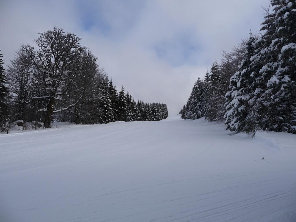 Auberge d'altitude de Grouvelin Gérardmer Buitenkant foto
